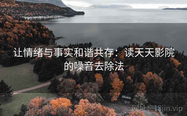 让情绪与事实和谐共存：读天天影院的噪音去除法